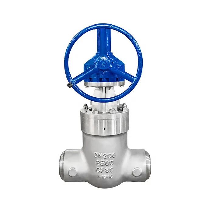 Resilient Wedge Gate Valve
