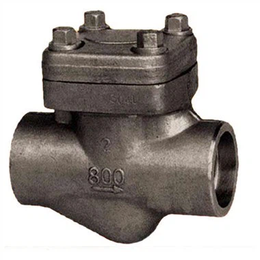 1 Inch Check Valve