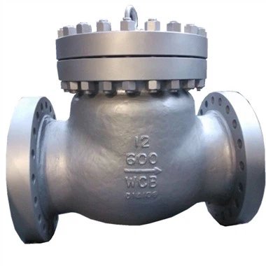 12 Inch Check Valve