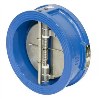 4 Inch Check Valve