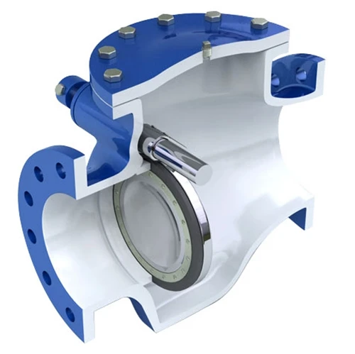 swing type nrv valve