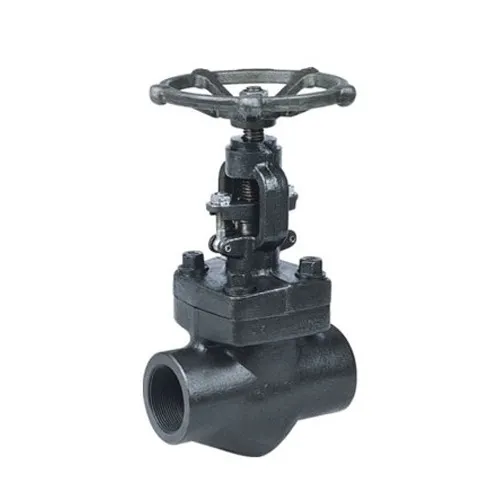 socket-weld-globe-valve-500x500